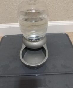 Petmate Replendish Automatic Gravity Waterer for Cats and Dogs, BPA-Free, No Batteries Required, Includes Charcoal Filter, 0.5 Gallon,Silver Silver 0.5 GAL 72 71Us7XLttL