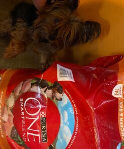 Purina ONE Chicken and Rice Formula Dry Dog Food - 8 lb. Bag Dry Food Chicken & Rice 8 Pound (Pack of 1) 46 71UuWqFOBnL