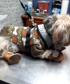 URBEST Dog Shoes with Hook Loop Closure Booties Pet Dog Chihuahua Shoes Boots, 4Pcs (5#, Brown) 5# 37 71Uvp11LpL