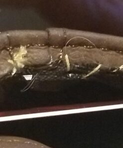 Legend of Zelda Link's Costume Wallet 42 71Uw1DDDgL