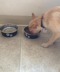 Alternative view of Loving Pets - Bella Bowls - Dog Food Water Bowl No Tip Stainless Steel Pet Bowl No Skid Spill Proof (Small, Espresso Brown) Small