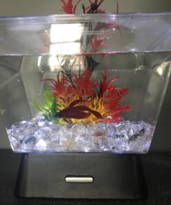 Tetra LED Betta Tank Kit 1 Gallon, Trapezoid aquarium With Base Lighting (24050) 38 71UxCcCS9FL