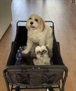 MacSports Collapsible Folding Outdoor Utility Wagon, Black 42 71UxOQLPX9L