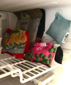 Moso Natural Fridge and Freezer Deodorizer. A Scent Free Odor Absorber. Air Purifying Bag to Eliminate Odors in Your Refrigerator. Two Year Lifespan! 1-Pack 22 71UzjcykgnL