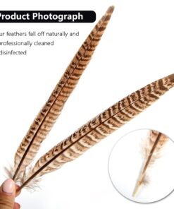 THARAHT 24pcs Female Ringneck Pheasant Tails Feathers Natural Feathers 10-12inch 25-30cm for Crafts Home Wedding Party Performance DIY Decoration Female Pheasant Feathers Female Pheasant feather-10-12inch 10 71V4PYfNtFL