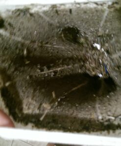 Pool Systems USA 5 Piece Filter Savers, Skimmer Socks 1 17 71V5Rj8UaL