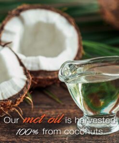 SmarterVitamins (3-Pack) 200mg Caffeine Pills with 100mg L-Theanine for Energy, Focus and Clarity + Coconut MCT Oil, Pre Workout, Nootropic Brain Booster, Extended Release Capsule 24 71V6lw2iE0L