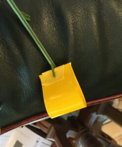 Safer Brand 5026 Houseplant Sticky Stake Insect Traps for Indoor Plants - Controls Fungus Gnats, Whiteflies, Midges, Thrips, Fruit Flies, and Black Flies - 1 Pack, 7 Traps 33 71V8qB9ktqL