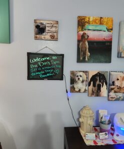 Woodsam Dry Erase Led Board - 16" x 12" Erasable Neon Writing Message Drawing Sign Board with 2 Liquid Chalk Markers for Home/Shop #1 16" X 12" 29 71V93n9qSLL