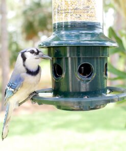 Squirrel Buster Plus Squirrel-proof Bird Feeder w/Cardinal Ring and 6 Feeding Ports, 5.1-pound Seed Capacity, Adjustable, Pole-mountable (POLE ADAPTOR SOLD SEPARATELY), Green 43 71VCFKMsr0L