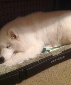 Cooler Shock Ice Packs for Cooler, Strong, Reusable, Premium Ice Pack and Lunch Cooler Set for Long Term Use, Cools Faster Than Ice, 3 Pack 40 71VDBotV8dL