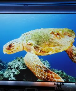 Dangbei Mars Pro 4K Projector, DLP Projector with Android 4GB+128G, 2x10W HiFi Speakers, Auto Focus, Keystone HDR10 Home Theater 38 71VDKyZSezL