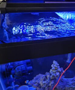 Rio RV2735 Rid-Volt Titanium Grounding Probe 8 71VEO2fyN3L