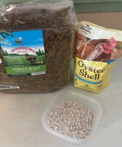 Manna Pro Crushed Oyster Shell Calcium Supplement For Laying Chickens - Poultry Treat - 5 lbs. 5 Pound (Pack of 1) 38 71VEzbfEJVL