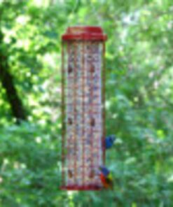 Perky-Pet 102 4 lb Squirrel Resistant Easy Feeder 25 71VHagCbeLL