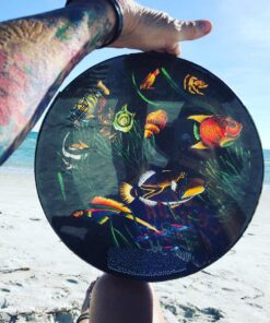 Remo Ocean Drum - Fish Graphic, 12" 12" Drum Fish Graphic 5 71VHi zfzL