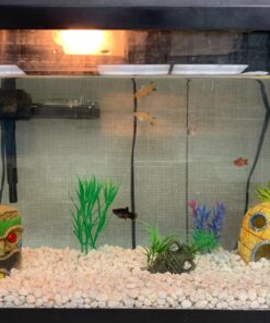 Aqueon Replacement Filter Cartridges Medium - 6 pack 29 71VLMe4zeDL