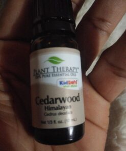 Plant Therapy Himalayan Cedarwood Essential Oil 10 mL (1/3 oz) 100% Pure, Undiluted, Therapeutic Grade 0.33 Fl Oz (Pack of 1) 9 71VNz985uKL
