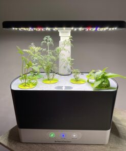 AeroGarden Gourmet Herb Seed Pod Kit - Herb Seeds for AeroGarden Indoor Garden, 6-Pod 29 71VQ3DVM0vL