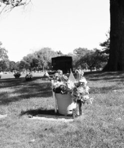 Ilford HP5 Plus Black and White Negative Film ISO 400 (120 Roll Film) 1 Pack 25 71VTaMhg7fL