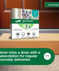Advantage II Kitten Vet-Recommended Flea Treatment & Prevention | Cats 2-5 lbs. | 2-Month Supply 27 71VY58ZUc5L