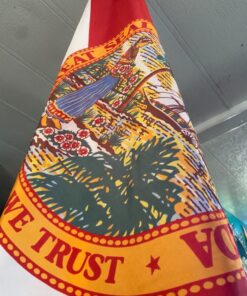 Annin Flagmakers Florida State Flag USA-Made to Official State Design Specifications, 4 x 6 Feet (Model 140970) 4x6 ft. 16 71VZrvtJ2bL