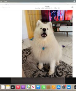 Purina Busy With Beggin' Made in USA Facilities Small/Medium Breed Dog Treats, Twist'd - 10 ct. Pouch Bacon 35 71Vb1HV8rKL