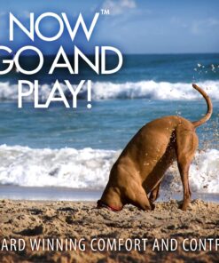 EzyDog Cujo Shock Absorbing Bungee Dog Leash - Best Dog Rope Training Lead - Reflective Trim for Nighttime Safety - Padded Pull Handle for Superior Comfort and Control (40", Black) 40-Inch 15 71Vg7IUNCL