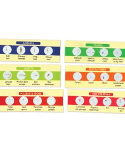 Learning Resources Prepared Slides Set 2, 24 Specimens 9 71Vj6ec1j0L