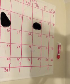 EXPO Low Odor Dry Erase Markers, Chisel Tip, Assorted Colors, 8 Pack 8 Count (Pack of 1) 16 71VlC9e60EL