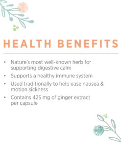 PURE SYNERGY SuperPure Ginger Extract | 60 Capsules | USDA Organic | Non-GMO | Vegan | with 425 mg of Ginger Extract 11 71VpZHJMNL