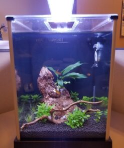 Fluval SPEC Freshwater Aquarium Kit, Aquarium with LED Lighting and 3-Stage Filtration, 2.6 Gallon, Black, Large Breeds 2.6 Gal. 43 71VtXuC aAL