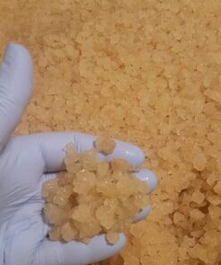 Alternative view of Florida Sun Kefir Generous 80g Portion Cup 33% More Live Large Healthy Water Kefir Grains (Tibicos) Natural Probiotics Mild Sweetness to Tart 1.99 Ounce (Pack of 1)