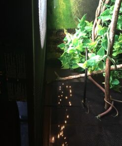 Zoo Med Little Dripper 4.37 Pound (Pack of 1) 15 71VyiucKE9L