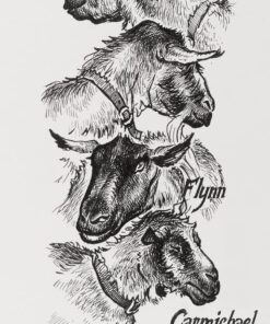 Faber-Castell Pitt Artist Pen 167115 India Ink Pens Pack of 4 M F S XS Black 1 13 71VykcAnThL