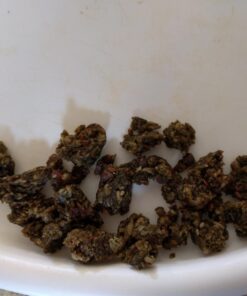 PROBAR - Meal Bar, Superfood Slam, Non-GMO, Gluten-Free, Healthy, Plant-Based Whole Food Ingredients, Natural Energy, 3 Ounce (Pack of 12) 12 Count (Pack of 1) 20 71W4 eb8AtL