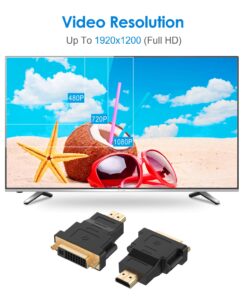 Rankie 2-Pack HDMI (Male) to DVI (Female) Adapter (Black) 10 71W5UJaYBqL