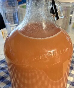 FastRack 1 gal Glass Wine Fermenter, INCLUDES Rubber Stopper and Twin Bubble Airlock, Multicolor 1 Count (Pack of 1) 22 71W7mvvstdL