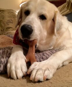 Skout’s Honor Professional Strength Odor Eliminator 18 71W7yWvc9yL