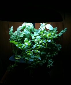 AeroGarden Classic 6 with Gourmet Herb Seed Pod Kit 52 71W8f1lNIQL