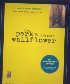 The Perks of Being a Wallflower 29 71W96JzN4JL