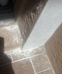 Safer Home SH51703 OMRI Listed Diatomaceous Earth - Ant, Roach, Bedbug, Flea, Silverfish, Earwig, & Crawling Insect Killer 42 71WBBpVFQSL