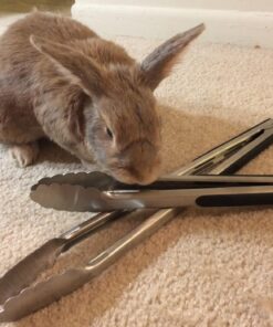 OXO Good Grips 12-Inch Stainless-Steel Locking Tongs 47 71WCh1iA2LL