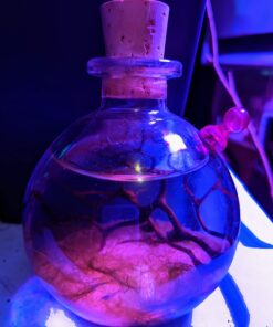 Shrimp Bubble Glass Self-Sustaining Ecosystem Amber 42 71WDMRmBe2L