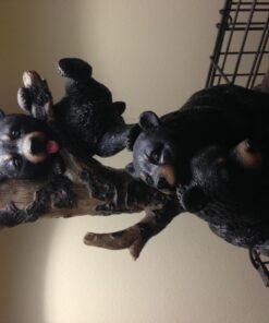 Zeckos Rustic Black Bear Family Table Lamp - Lodge-Inspired Home Lighting - 20" Tall Resin Construction - Charming Bear Face Print Shade - Ideal for Cabins and Dens 21 71WE1HgbGuL