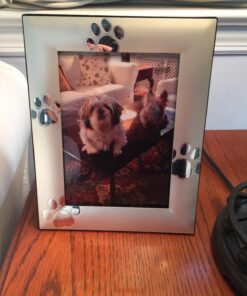 Skyway Puppy Dog Paw Print Pet Photo Picture Frame Silver - 5 x 7 24 71WE1qzMF8L