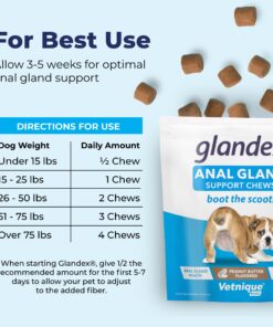 Glandex Anal Gland Soft Chew Treats with Pumpkin for Dogs Digestive Enzymes, Probiotics Fiber Supplement for Dogs Boot The Scoot (Peanut Butter Chews, 30ct) Peanut Butter Chews 24 71WFONFoRBL