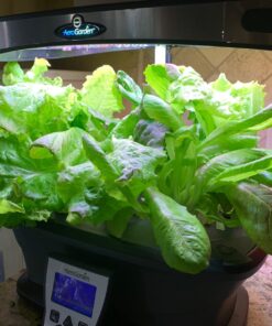 AeroGarden Heirloom Salad Greens Mix Seed Pod Kit - Salad Kit for AeroGarden Indoor Garden, 7-Pod 28 71WHGBP mDL