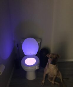 RainBowl Toilet Bowl Night Light with Motion Sensor - Funny Mens Stocking Stuffers 2023 - Unique Cool Gadget - Gag Christmas Gift for Dad, Boyfriend, Husband - White Elephant Gifts Idea, Secret Santa 51 71WIYinXWTL