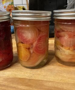 Seed Needs, 1,500+ Rainbow Beet Seed Mixture - 8 Variety Heirloom Mix (Beta vulgaris) Bulk Non-GMO 37 71WKLsKMWLL